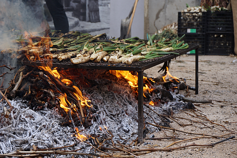 Calçots cooking over the fire a town square in the town of Valls during the Fiesta de la Calçotada de Valls in 2016.