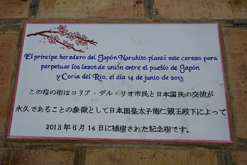 A plaque Coria del Rio near Seville is dedicated to Japan and the planting of the cherry blossom tree. Visit this village and try one of my favourite restaurants in Seville while you are at it!