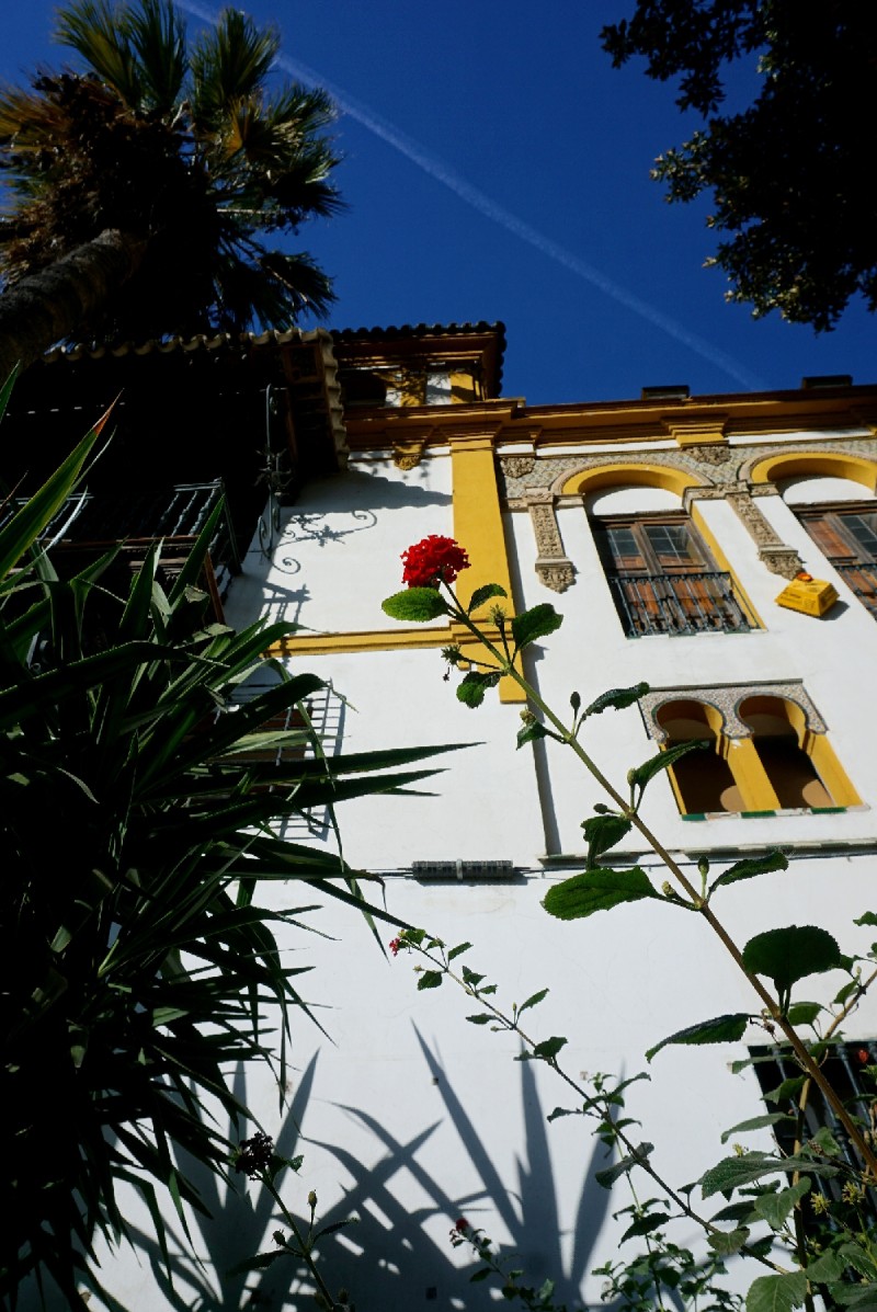 Wondering what to do in Seville in a day? A stroll around the beautiful Santa Cruz neighbourhood is a must! 